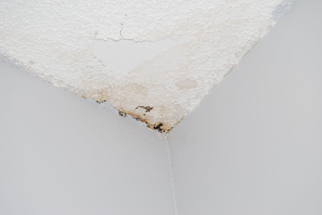 Roofs Repair